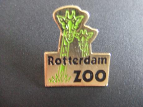 Dierentuin Blijdorp Rotterdam